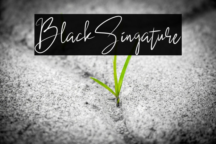 BlackSingature Example 1