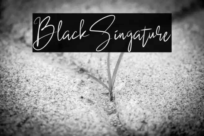BlackSingature Font examples