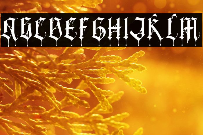 BlackSpider Example 1