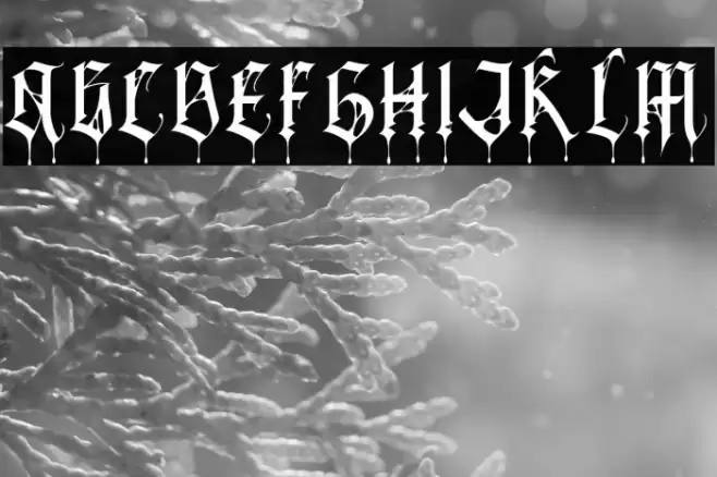 BlackSpider Font examples