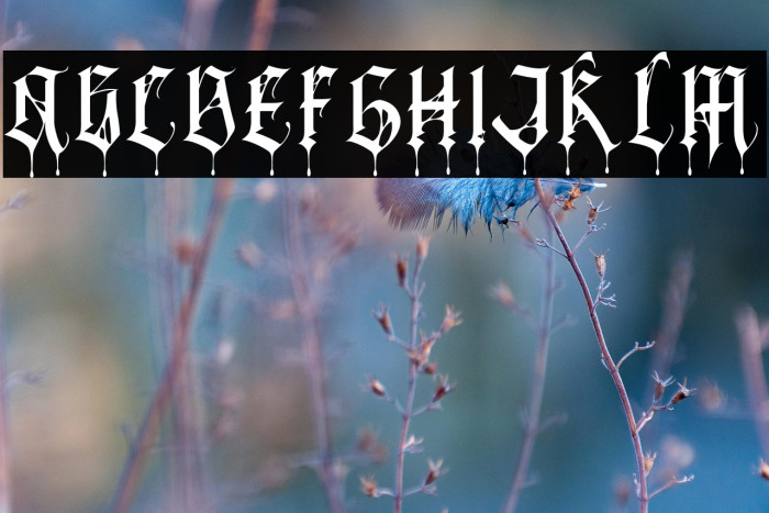 BlackSpider Example 2