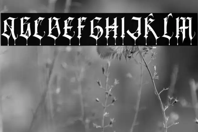 BlackSpider Font examples