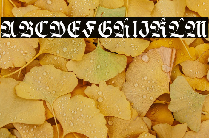 BlackStoner Example 3