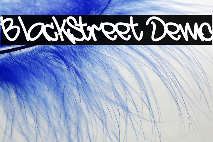 BlackStreet Demo Example 1