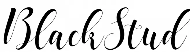 BlackStud  Descarca Fonturi Gratis