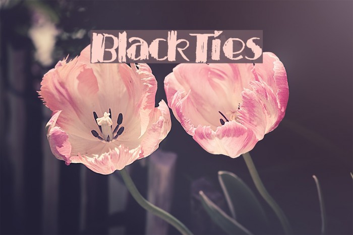 BlackTies Font examples
