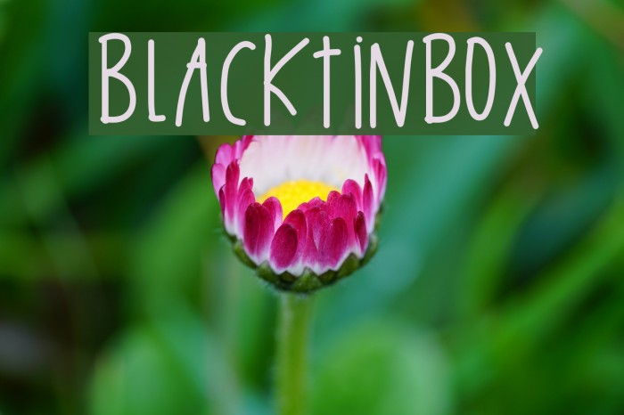 BlackTinBox Font examples