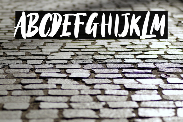 BlackTorch Example 1