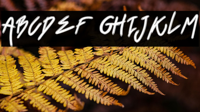 BlackVenom Example 2