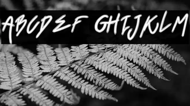 BlackVenom Font examples