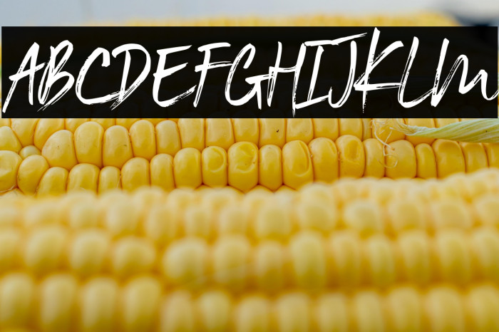 BlackVostenPersonalUse Example 2