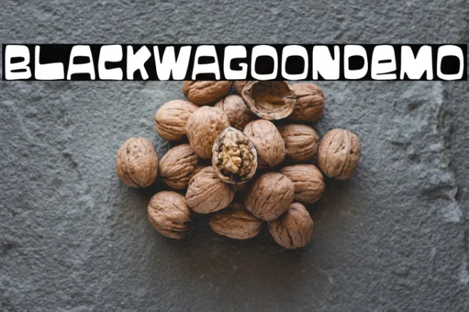 BlackWagoonDemo Example 3