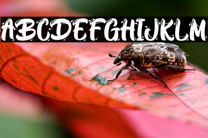 BlackWayPersonalUse Example 1