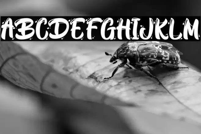 BlackWayPersonalUse Font examples