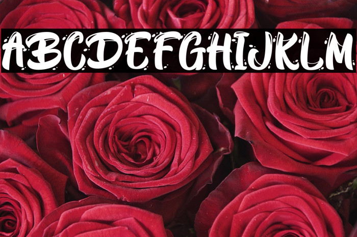 BlackWayPersonalUse Example 3