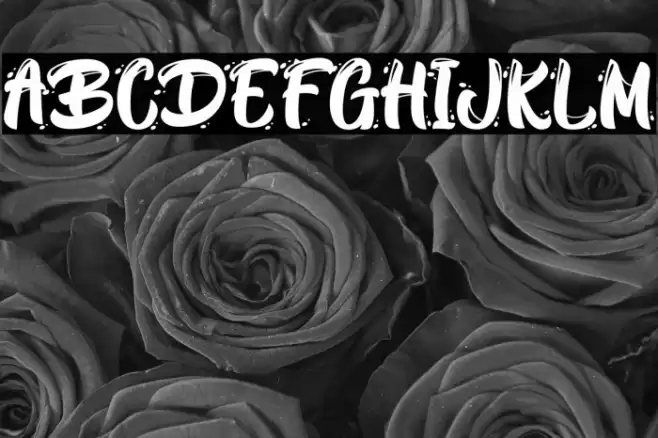 BlackWayPersonalUse Font examples