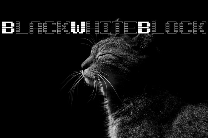 BlackWhiteBlock Example 2