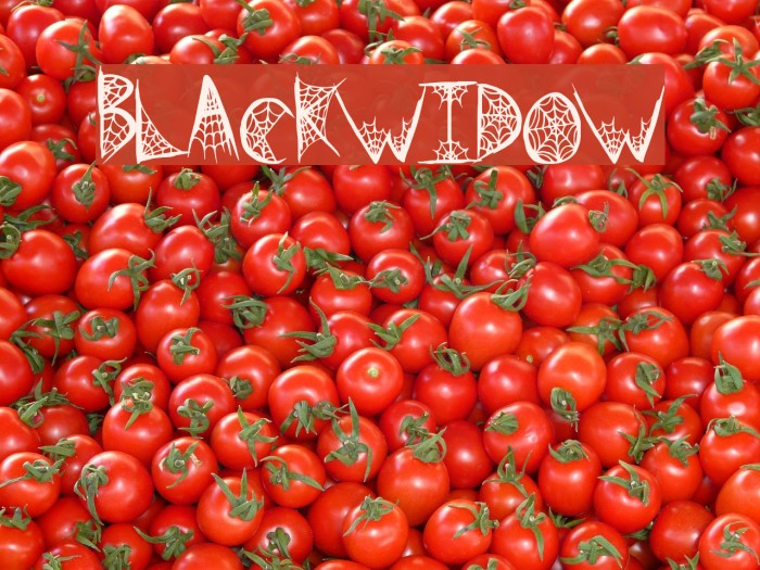 BlackWidow Example 2
