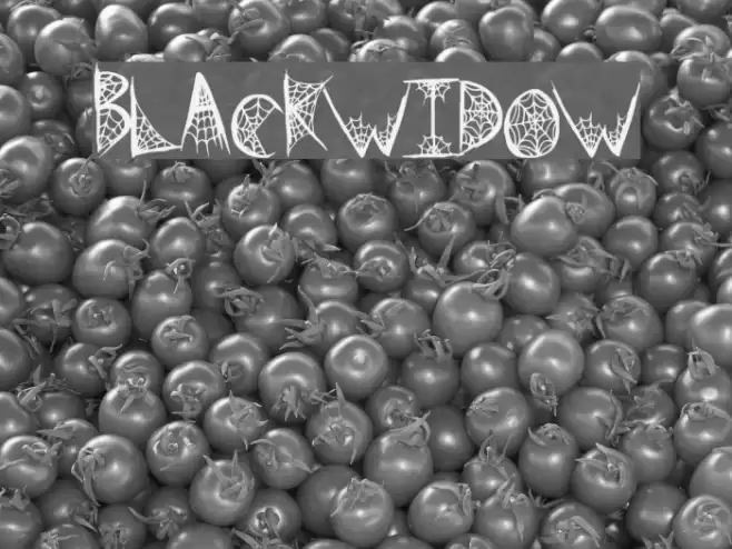 BlackWidow Font examples
