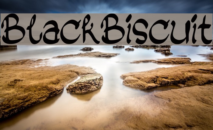 Black_Biscuit Font examples
