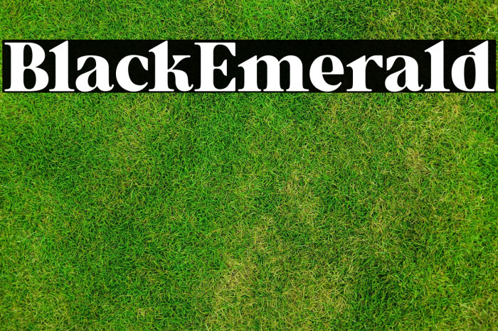 Black_Emerald Example 2