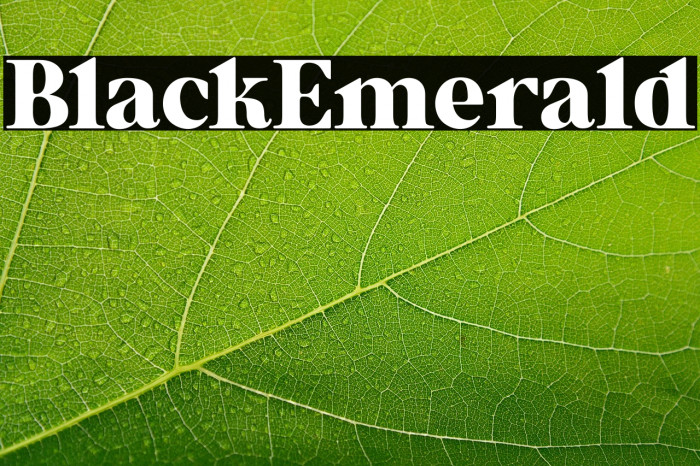 Black_Emerald Example 3