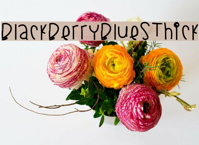 BlackberryBluesThick Font examples