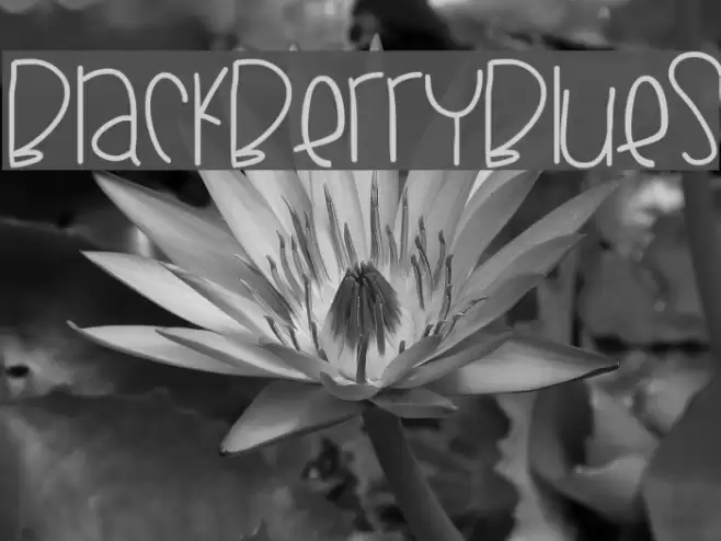 BlackberryBlues Font examples