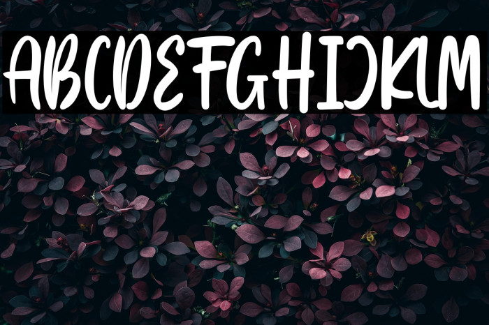 Blackbill Demo Example 1