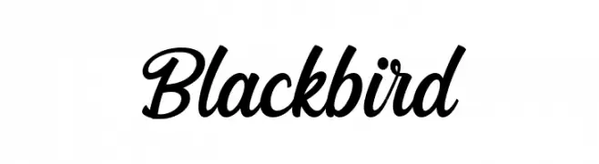 Blackbird  Скачать бесплатные шрифты