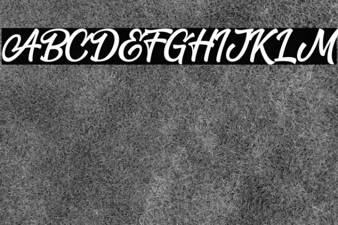 Blackbird Font examples