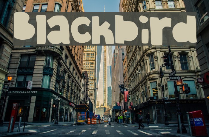 Blackbird Font examples