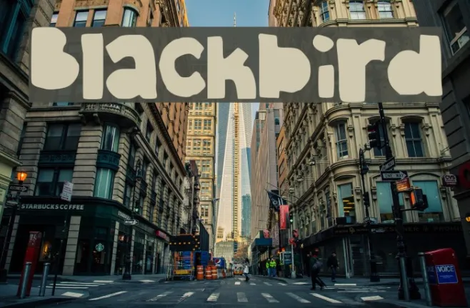 Blackbird Example 1