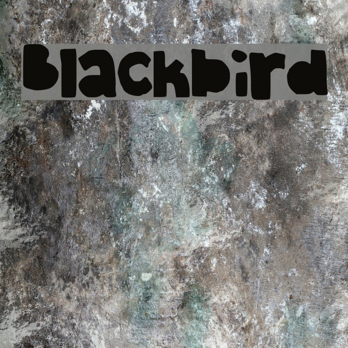 Blackbird Font examples