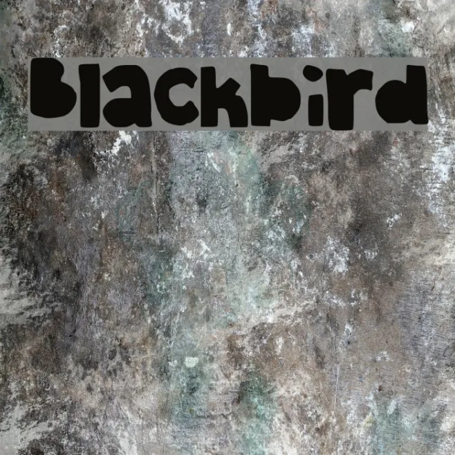 Blackbird Example 2