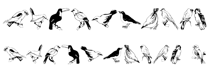 Blackbirds Font OTHER CHARS