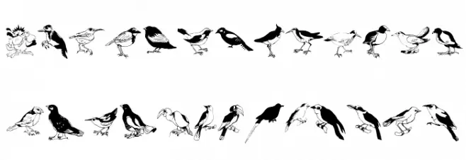 Blackbirds Fonte MAIÚSCULAS