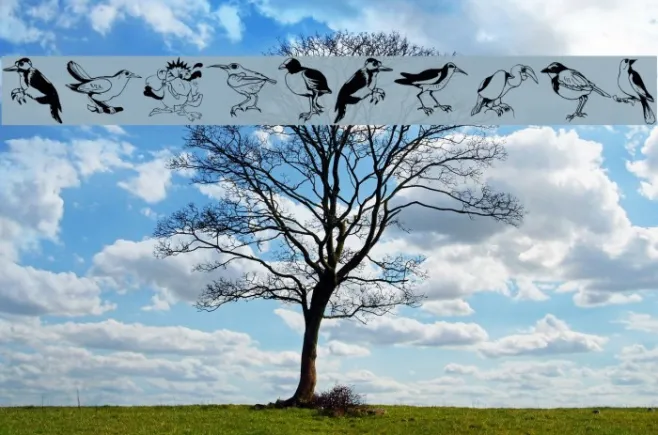 Blackbirds Example 2