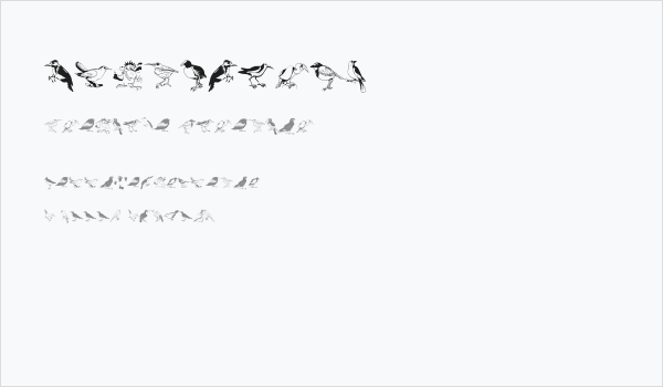 Blackbirds Business Card