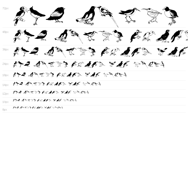 Blackbirds Waterfall