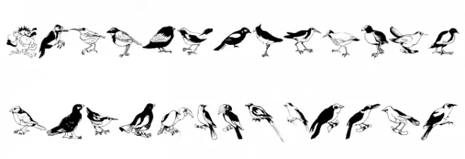 Blackbirds خط أحرف صغيرة