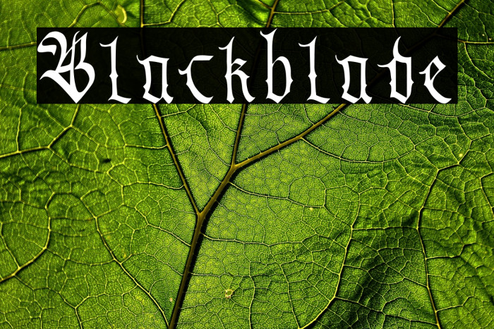 Blackblade Example 1