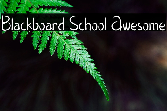 Blackboard School Awesome Font examples
