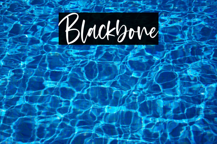 Blackbone Example 1