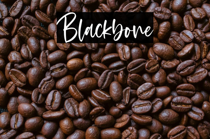 Blackbone Example 2