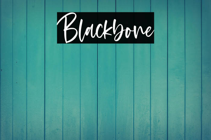 Blackbone Example 3