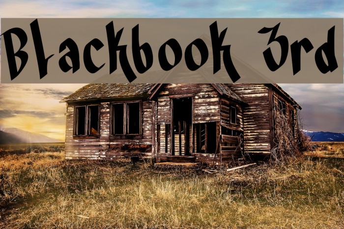 Blackbook 3rd Font examples