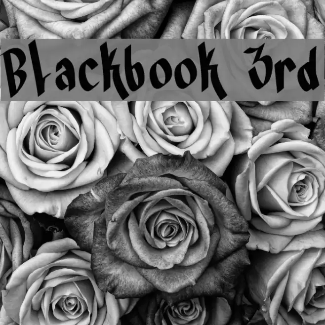 Blackbook 3rd Fuentes examples