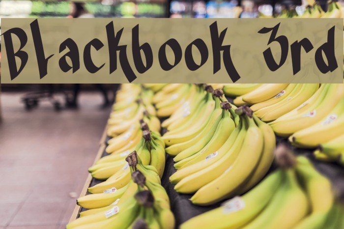 Blackbook 3rd Font examples