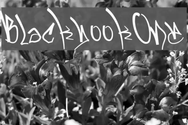 BlackbookOne Font examples